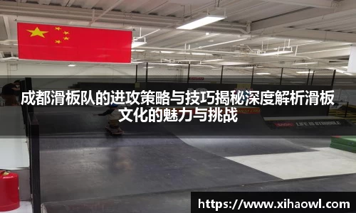 成都滑板队的进攻策略与技巧揭秘深度解析滑板文化的魅力与挑战