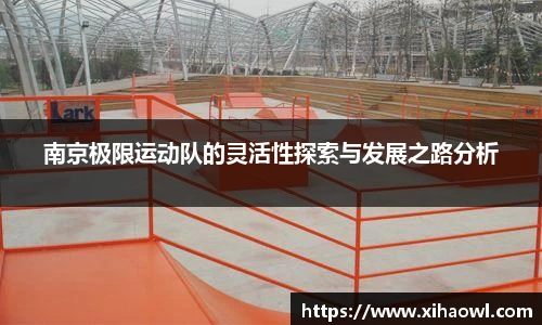 南京极限运动队的灵活性探索与发展之路分析