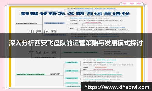 深入分析西安飞盘队的运营策略与发展模式探讨
