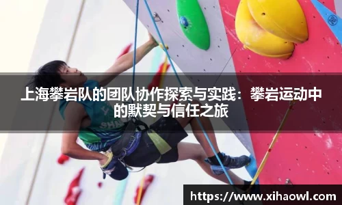 上海攀岩队的团队协作探索与实践:攀岩运动中的默契与信任之旅