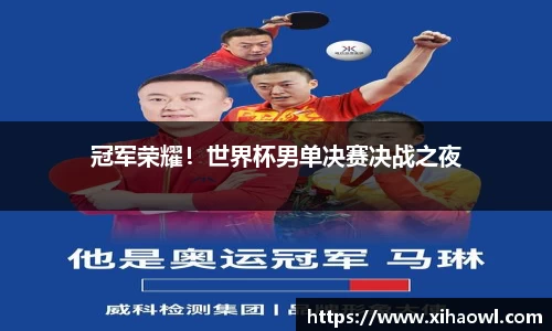 冠军荣耀！世界杯男单决赛决战之夜