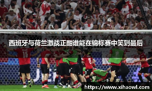 西班牙与荷兰激战正酣谁能在锦标赛中笑到最后