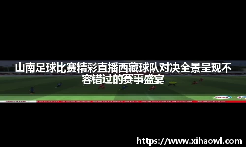山南足球比赛精彩直播西藏球队对决全景呈现不容错过的赛事盛宴