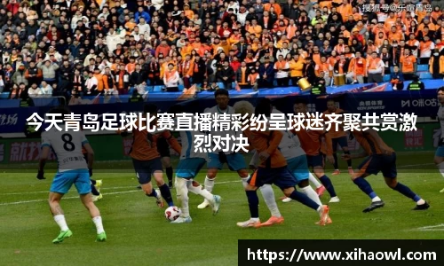 今天青岛足球比赛直播精彩纷呈球迷齐聚共赏激烈对决