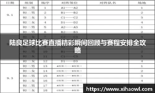陆良足球比赛直播精彩瞬间回顾与赛程安排全攻略