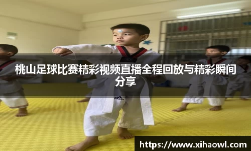 桃山足球比赛精彩视频直播全程回放与精彩瞬间分享