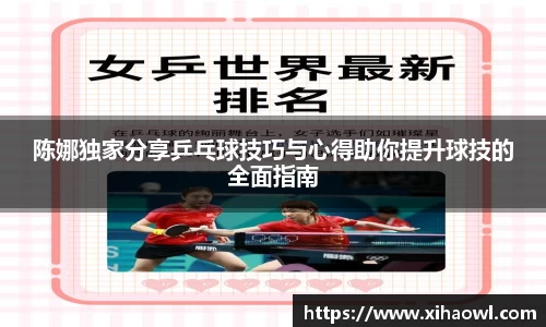 陈娜独家分享乒乓球技巧与心得助你提升球技的全面指南