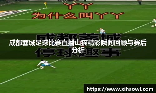 成都蓉城足球比赛直播山猫精彩瞬间回顾与赛后分析