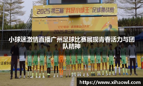 小球迷激情直播广州足球比赛展现青春活力与团队精神