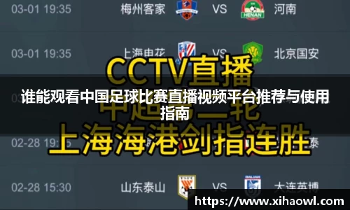 谁能观看中国足球比赛直播视频平台推荐与使用指南