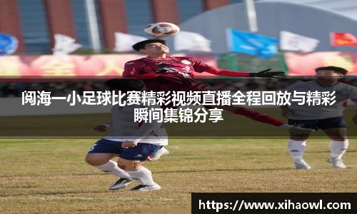 阅海一小足球比赛精彩视频直播全程回放与精彩瞬间集锦分享