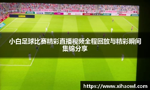 小白足球比赛精彩直播视频全程回放与精彩瞬间集锦分享