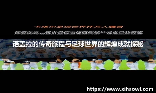 诺盖拉的传奇旅程与足球世界的辉煌成就探秘
