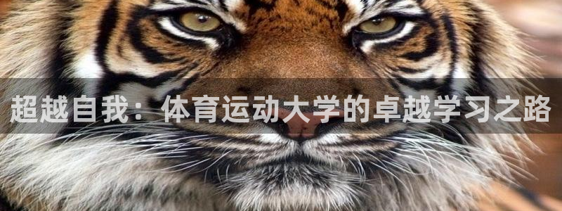 betway西汉姆官网