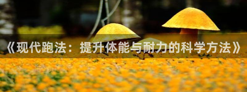 必威betway西汉姆联