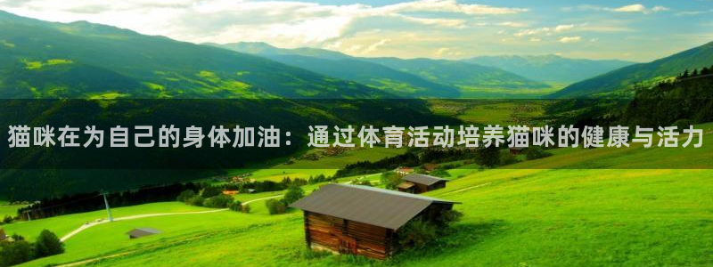 必威betway西汉姆联