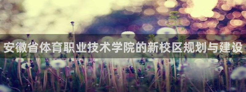 betway西汉姆联