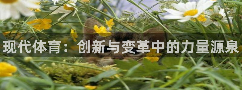 betway西汉姆联官网