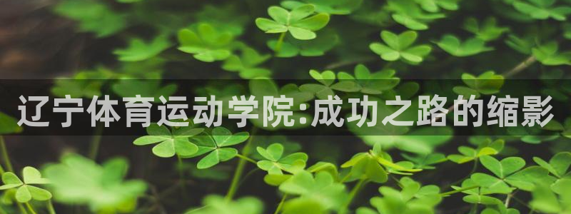 betway西汉姆
