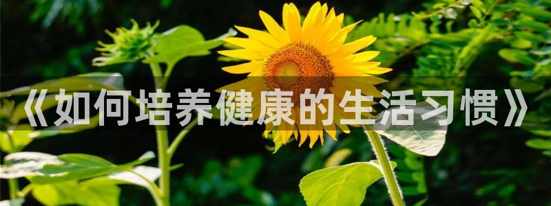 betway西汉姆联官网