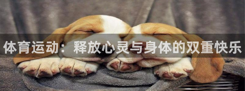 betway西汉姆联官网