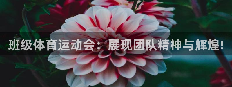 betway西汉姆联官网