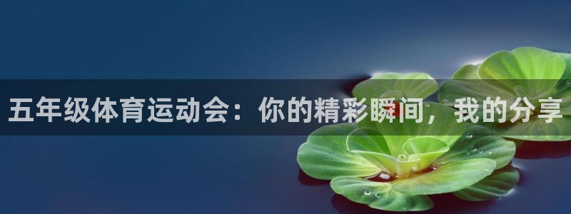 betway西汉姆联官网
